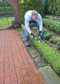 Gartenpflege in Erkelenz von einem Profi. Hecke schneiden.
