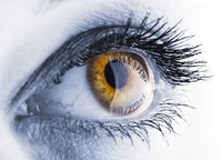 EMDR - (Eye Movement Desensitization and Reprocessing) ist eine hochwirksame psychotherapeutische Technik, die dazu beiträgt, dass Menschen ihre Traumata verarbeiten und ihre emotionale Verfassung verbessern können.