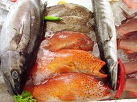 Lukullus-Markt: Fischspezialitäten Hellberg