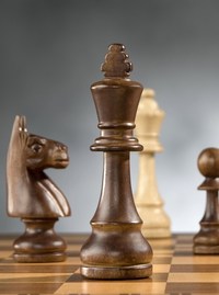 Unsere Schach-AG wird unterstützt durch die Schachschule Borgböhmer